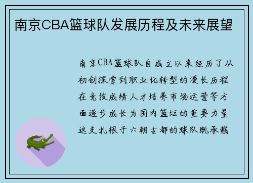 南京CBA篮球队发展历程及未来展望