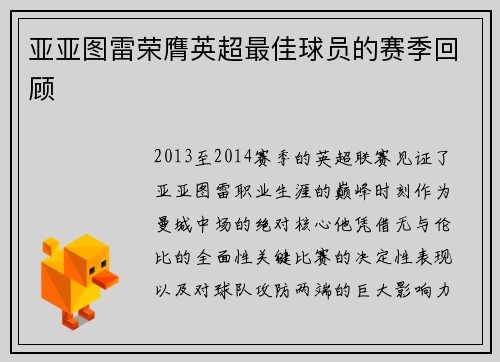 亚亚图雷荣膺英超最佳球员的赛季回顾